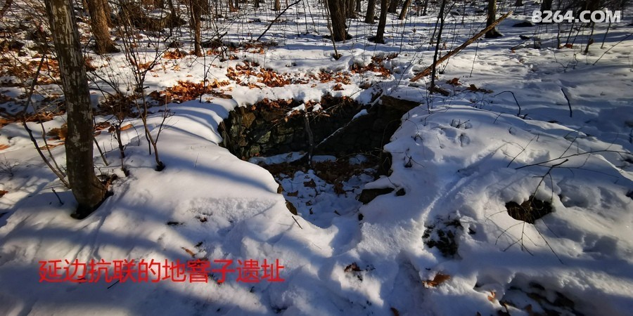 IMG_20260131_135048.jpg