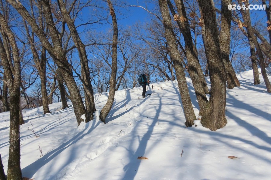 IMG_9757.jpg