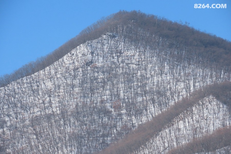 IMG_9804.jpg