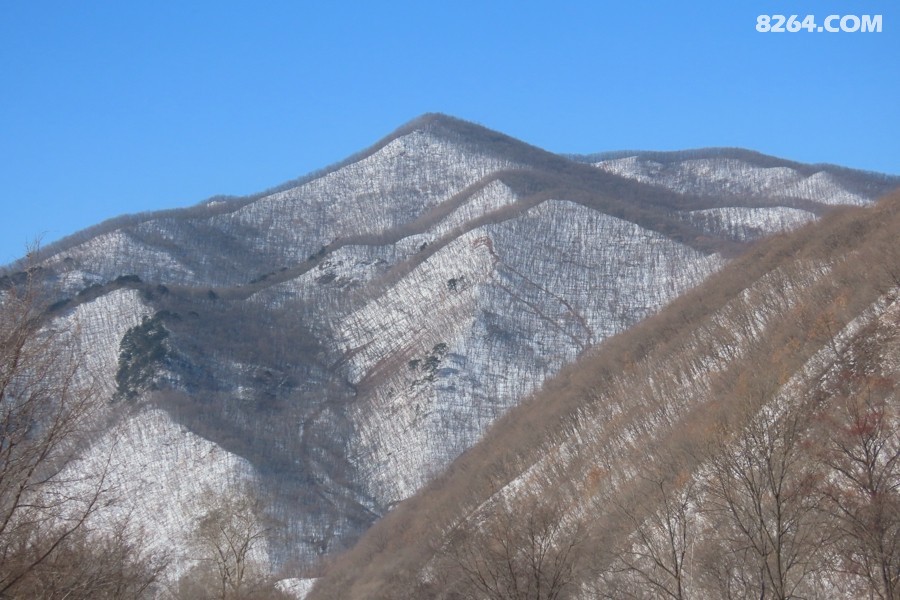 IMG_9803.jpg