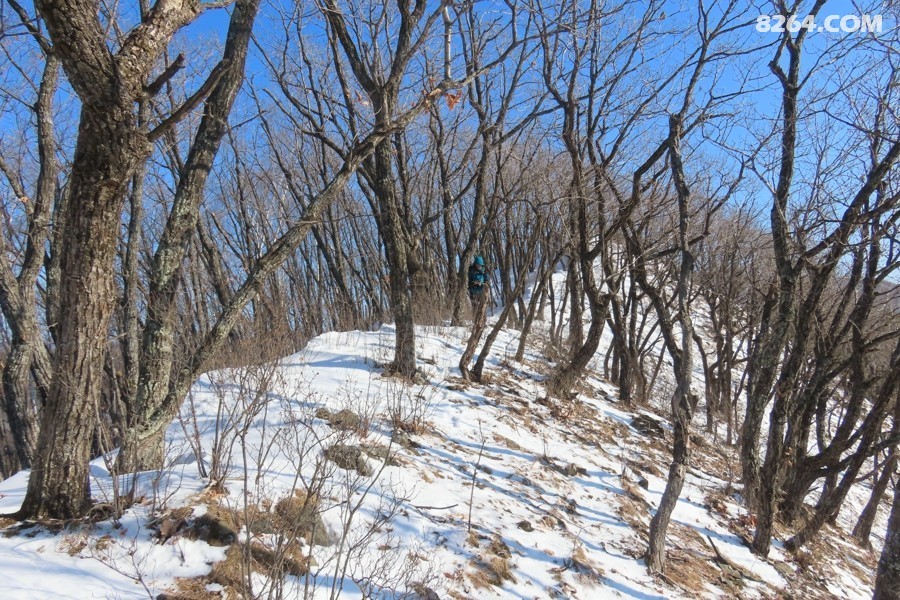 IMG_9831.jpg