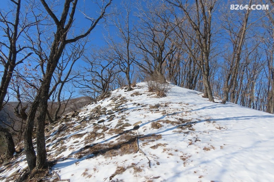 IMG_9827.jpg