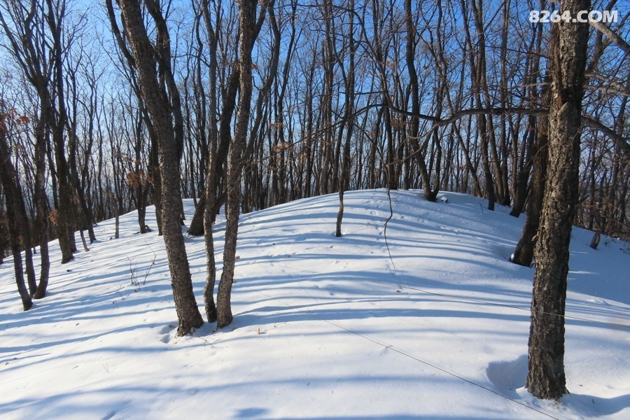 IMG_9835.jpg