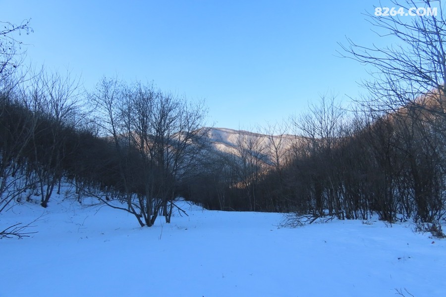 IMG_9844.jpg