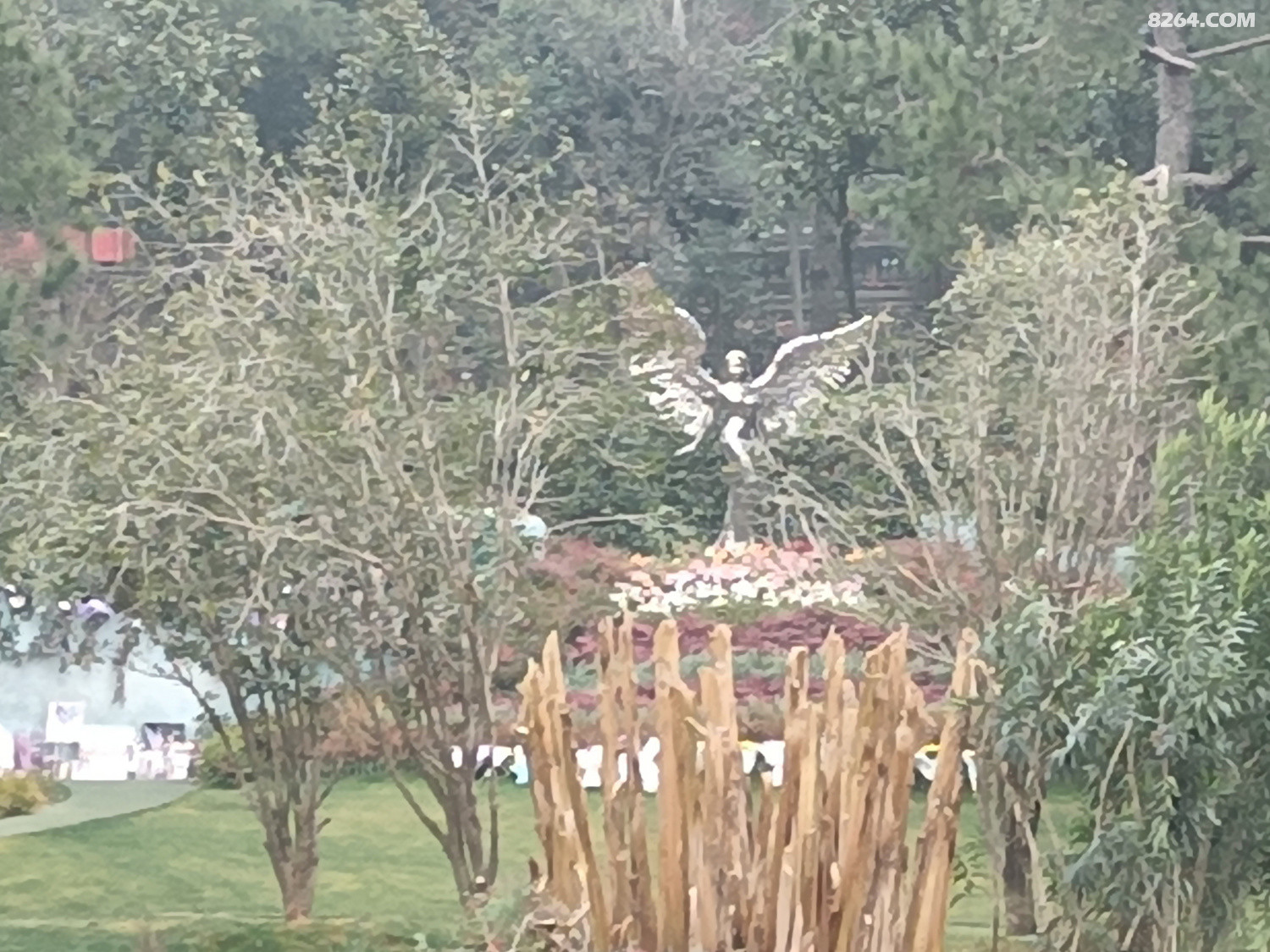΢��ͼƬ_2026-02-09_105438_221.png