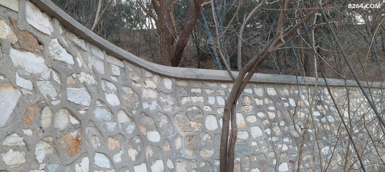 IMG20260207165139.jpg