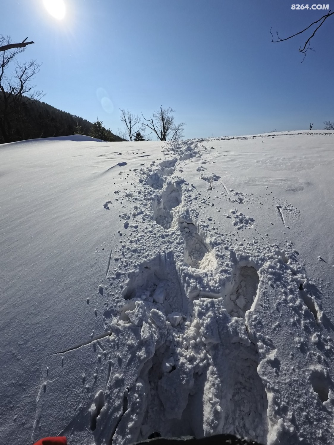 IMG_20260207_113457_188.jpg