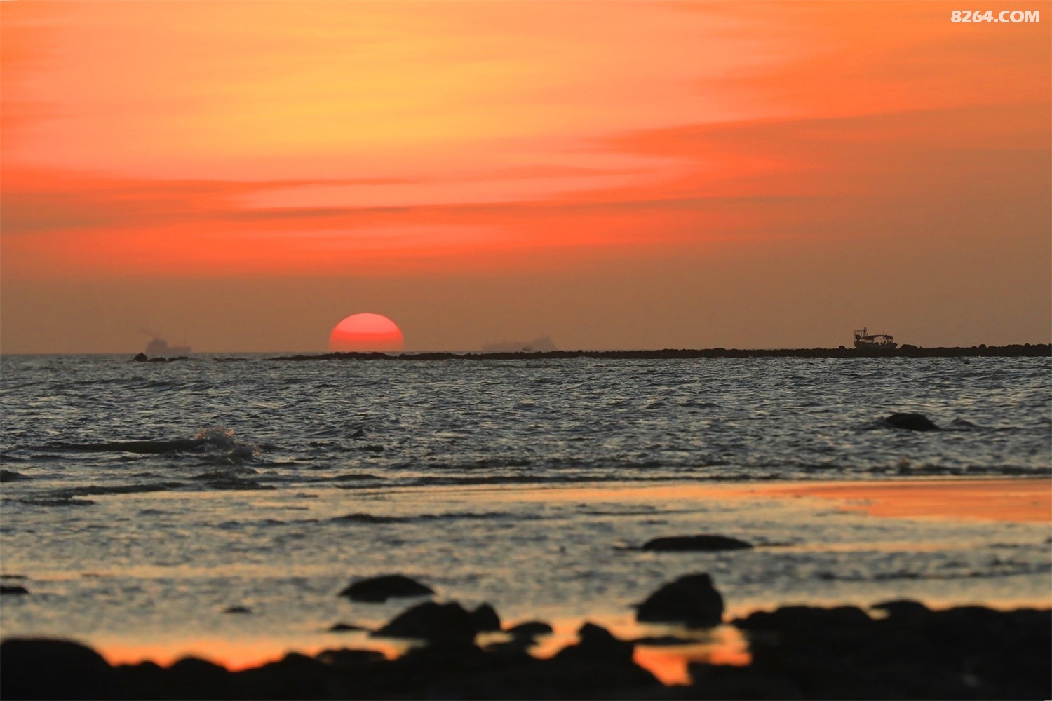 928A5045.JPG