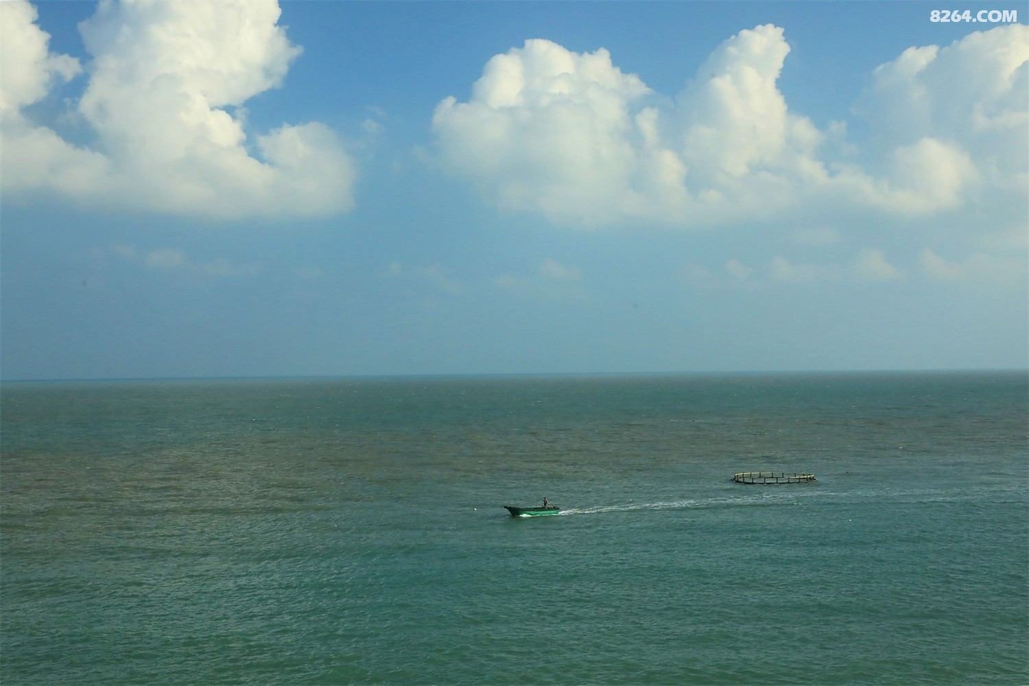 928A5551.JPG