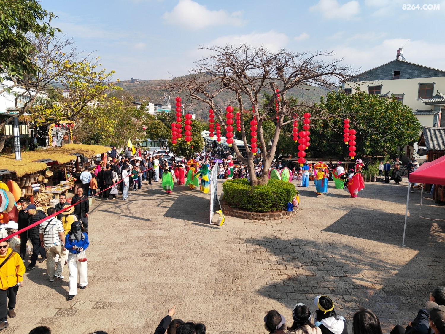 IMG_20260220_110146.jpg