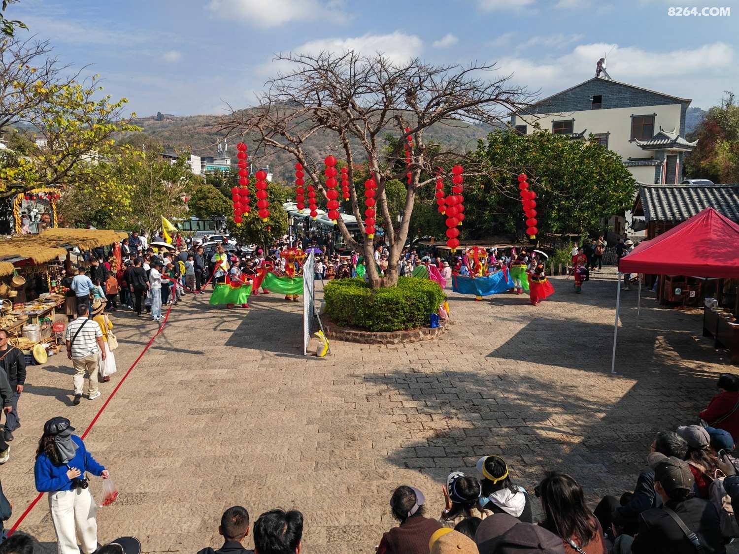 IMG_20260220_110149.jpg