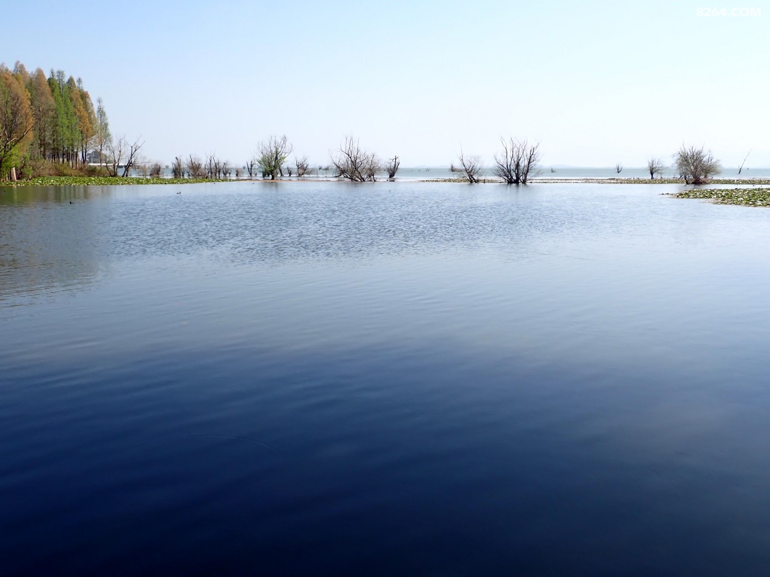 P2220300.JPG