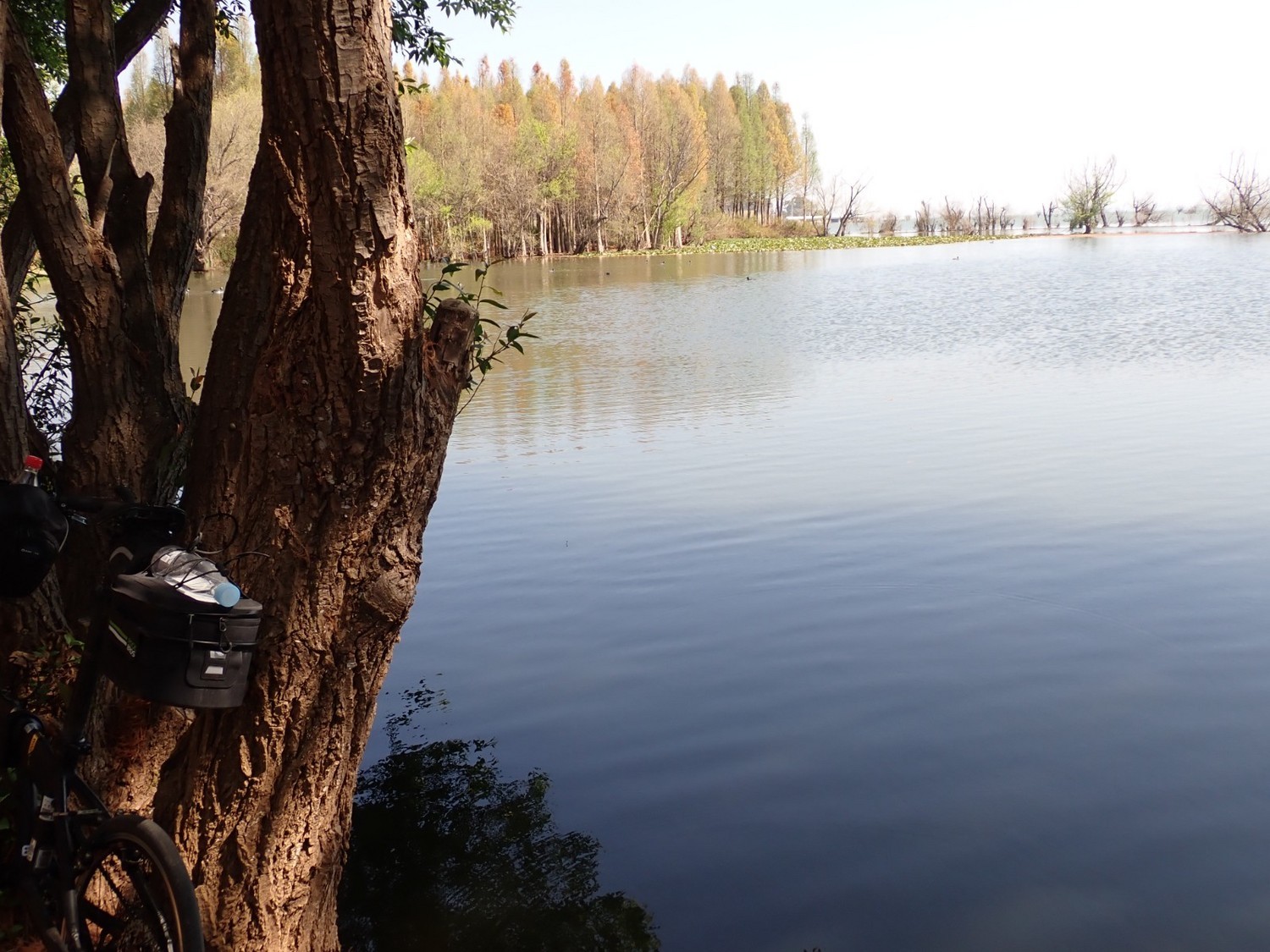 P2220301.JPG