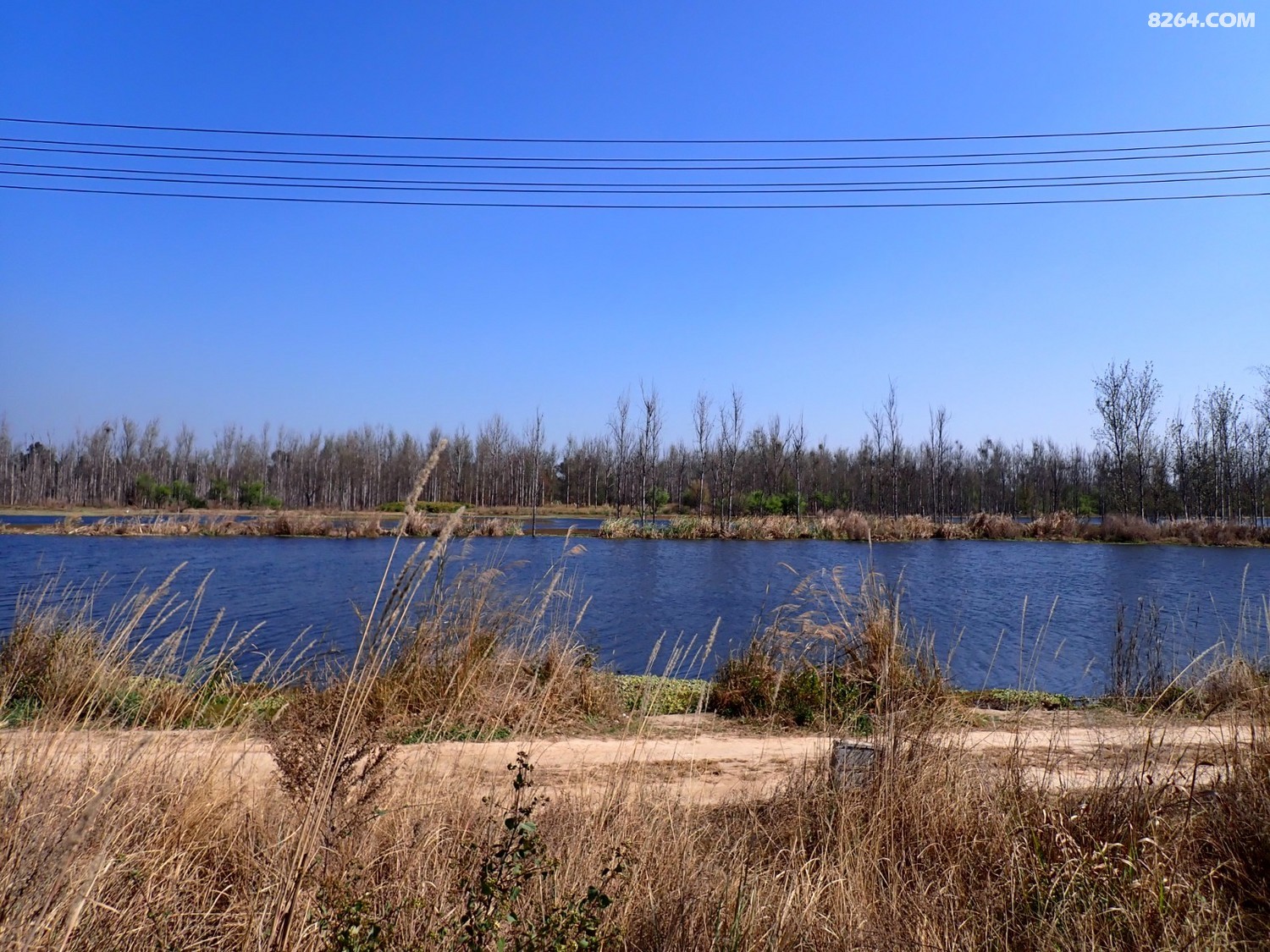 P2220293.JPG