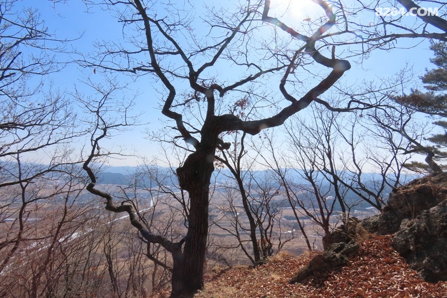 IMG_0515.jpg