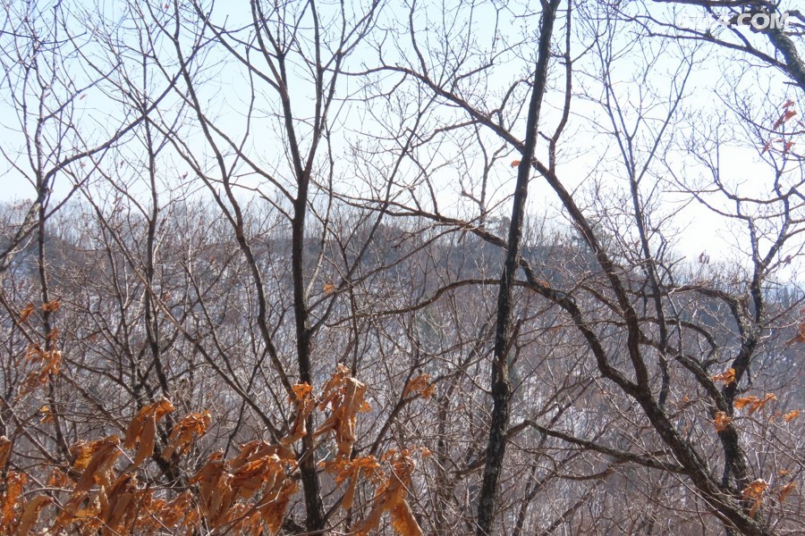 IMG_0405.jpg