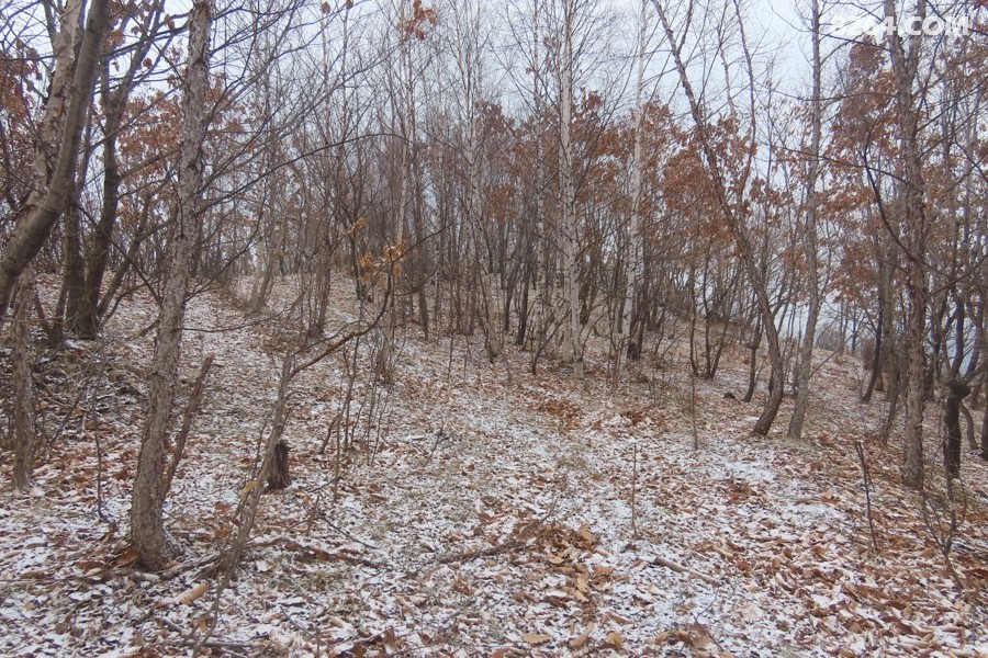 IMG_8444.jpg