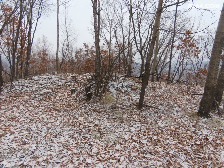 IMG_8437.jpg