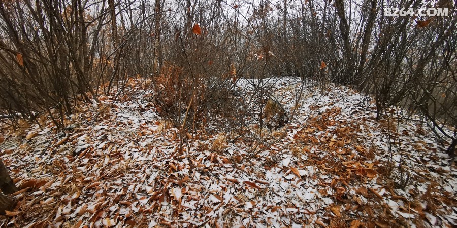 IMG_20260314_095825.jpg