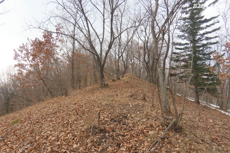 IMG_8497.jpg