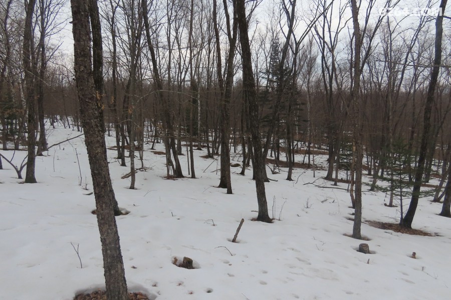IMG_8522.jpg