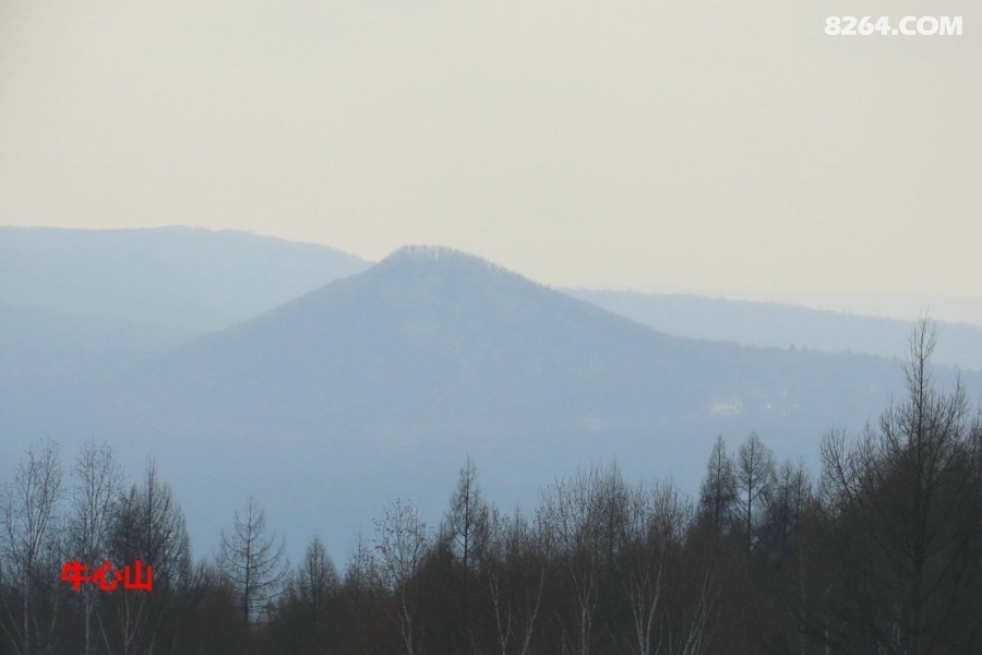 IMG_8616.jpg