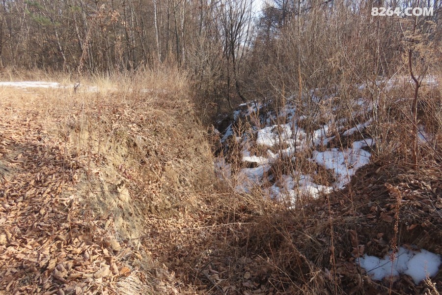 IMG_8635.jpg