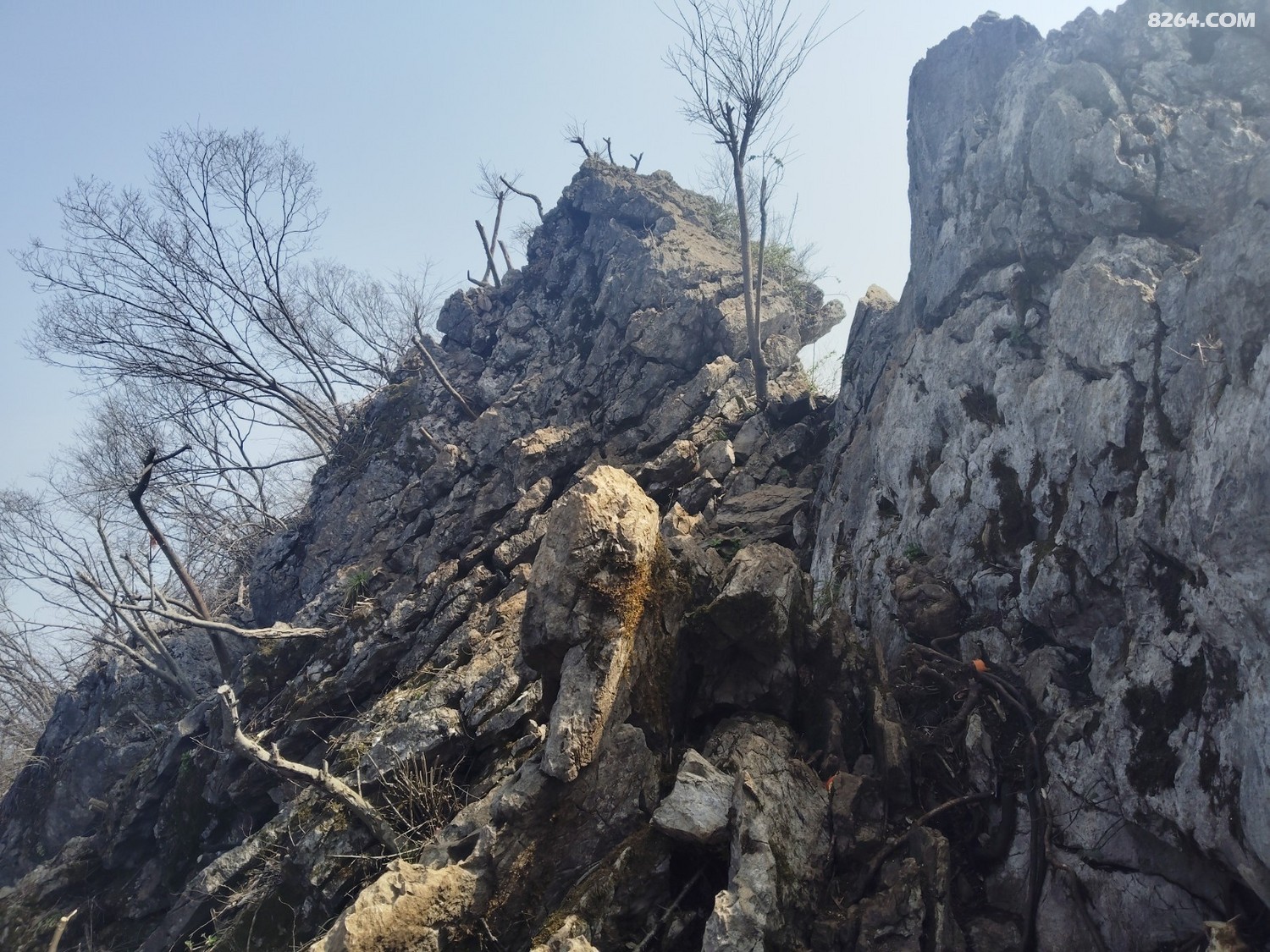 IMG_20260307_110309.jpg