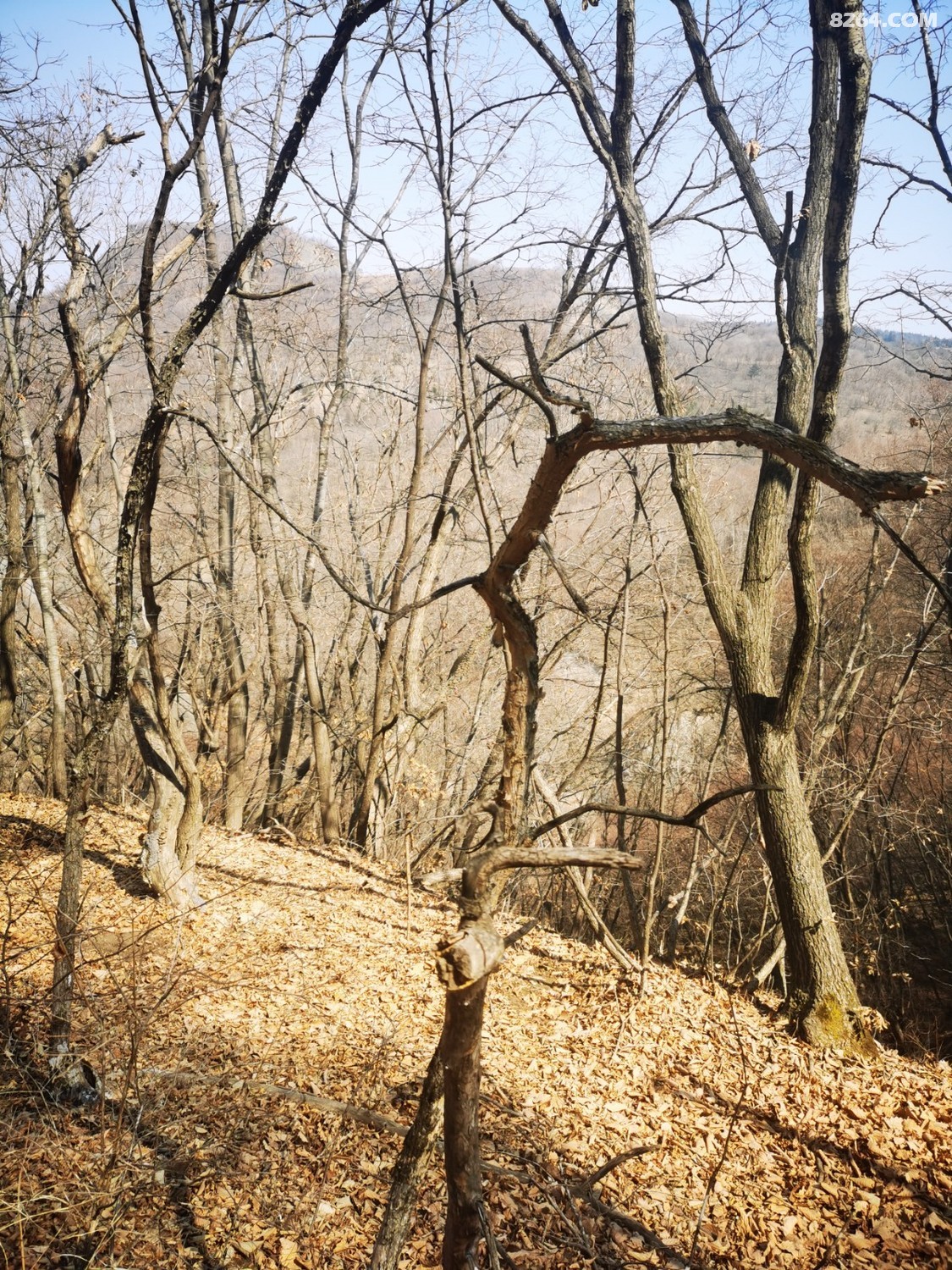 IMG_20260321_112015.jpg