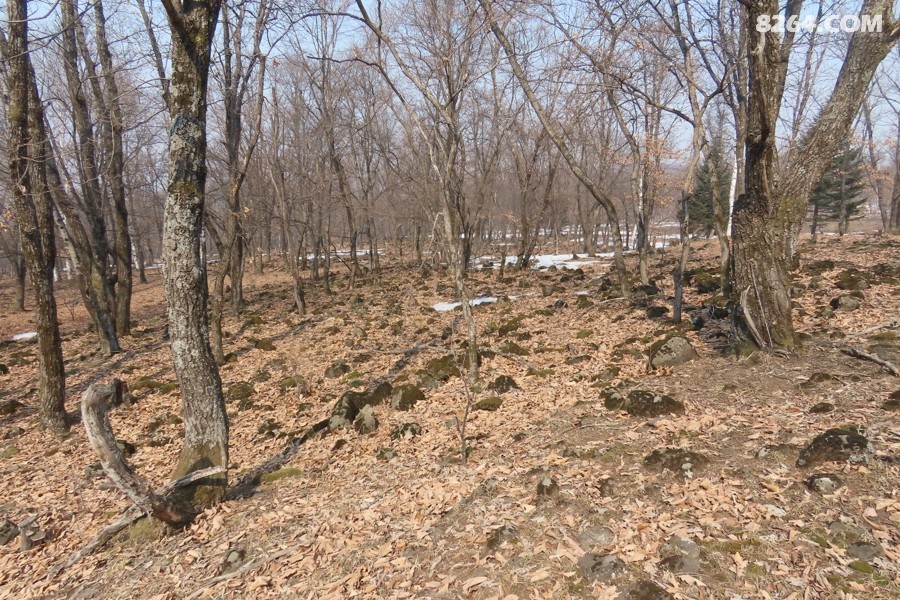 IMG_8900.jpg