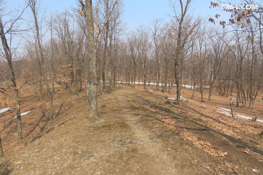 IMG_8905.jpg