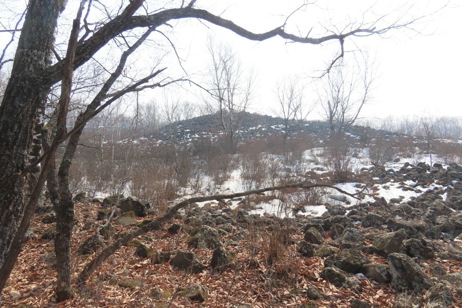 IMG_8955.jpg