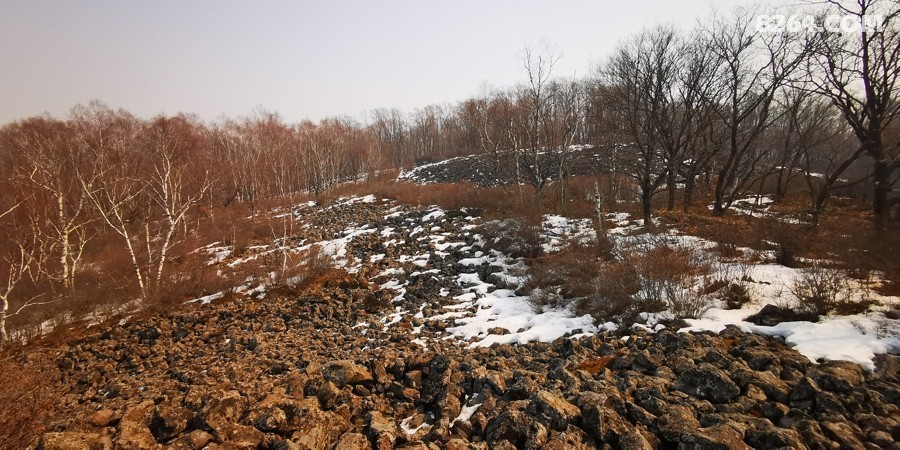 IMG_20260321_120609.jpg