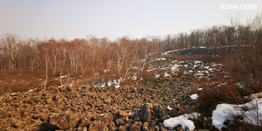 IMG_20260321_120713.jpg