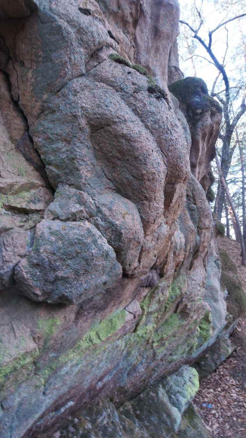 P1144760.JPG
