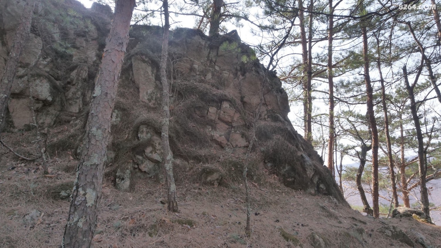 P1144780.JPG