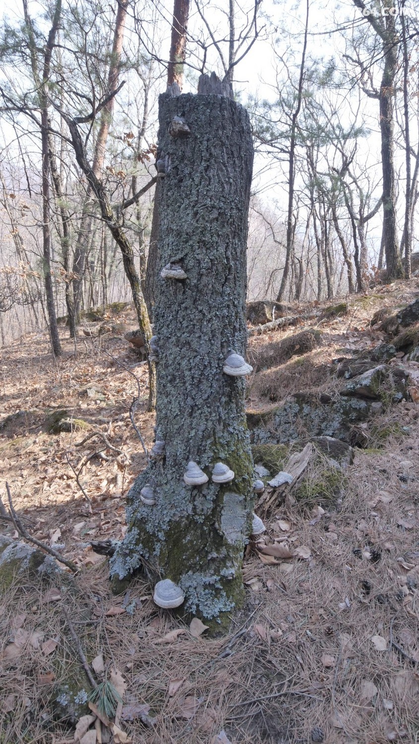 P1144790.JPG