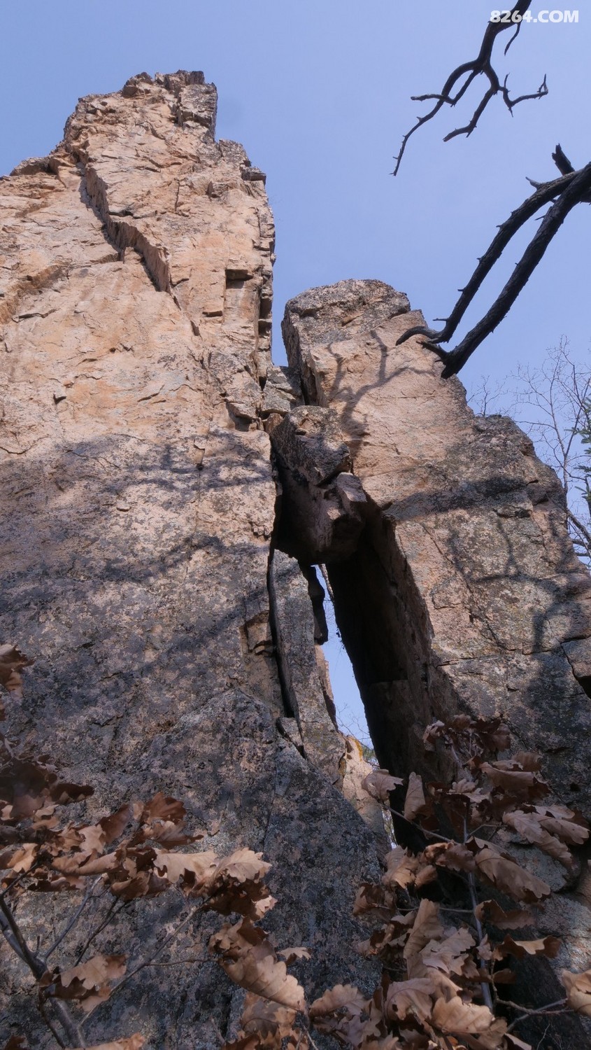 P1144844.JPG