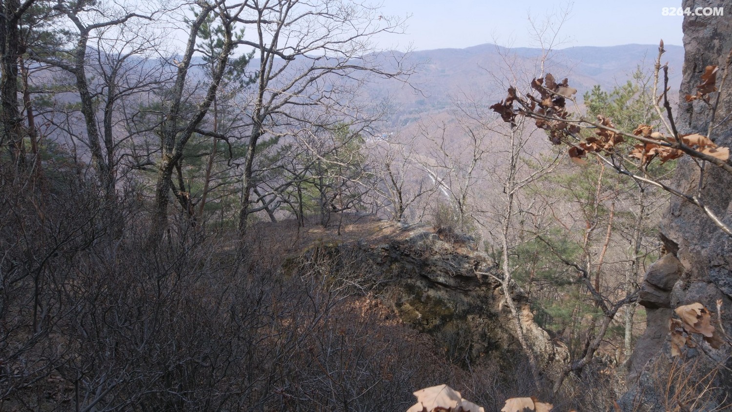 P1144841.JPG