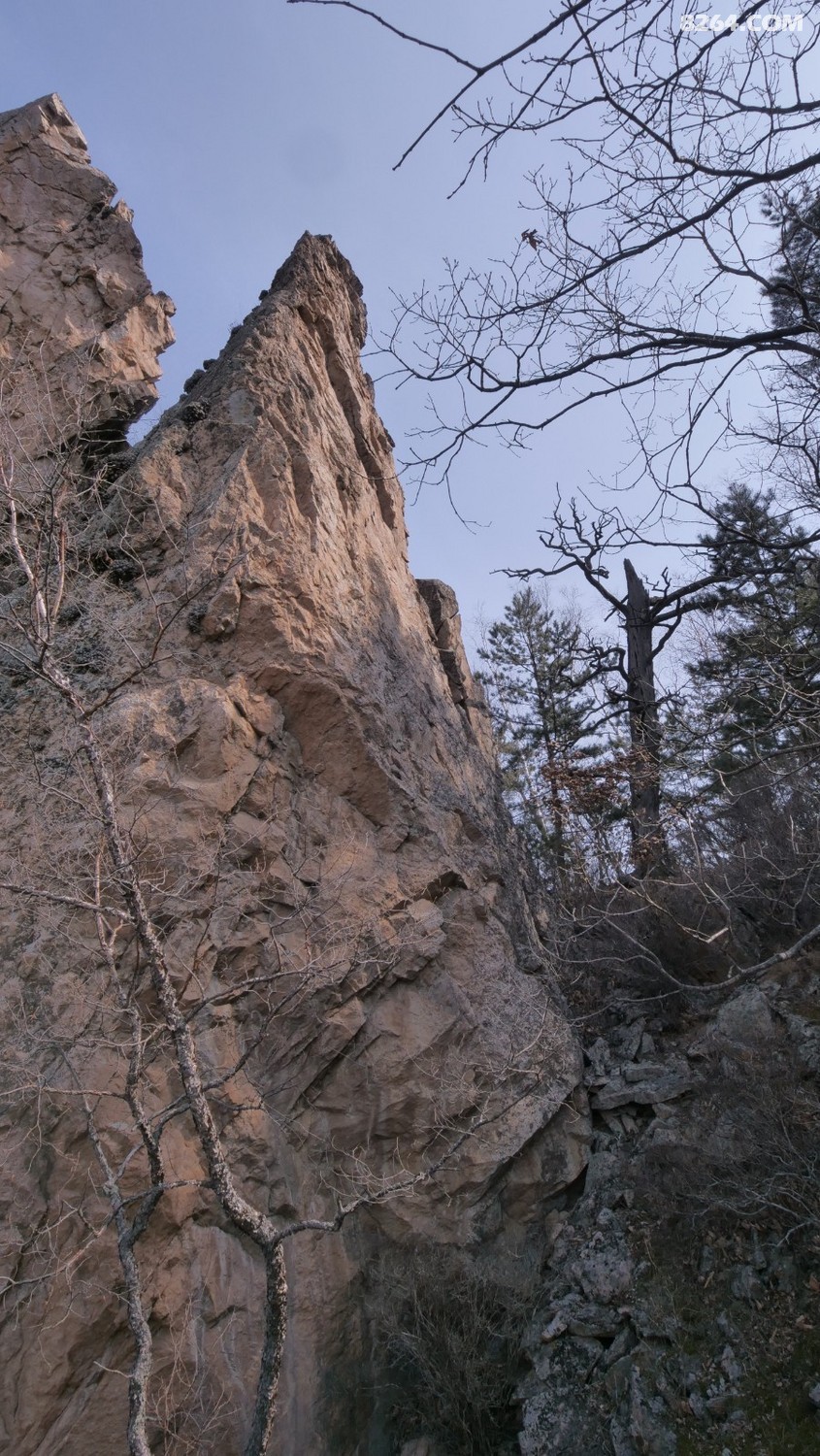 P1144853.JPG