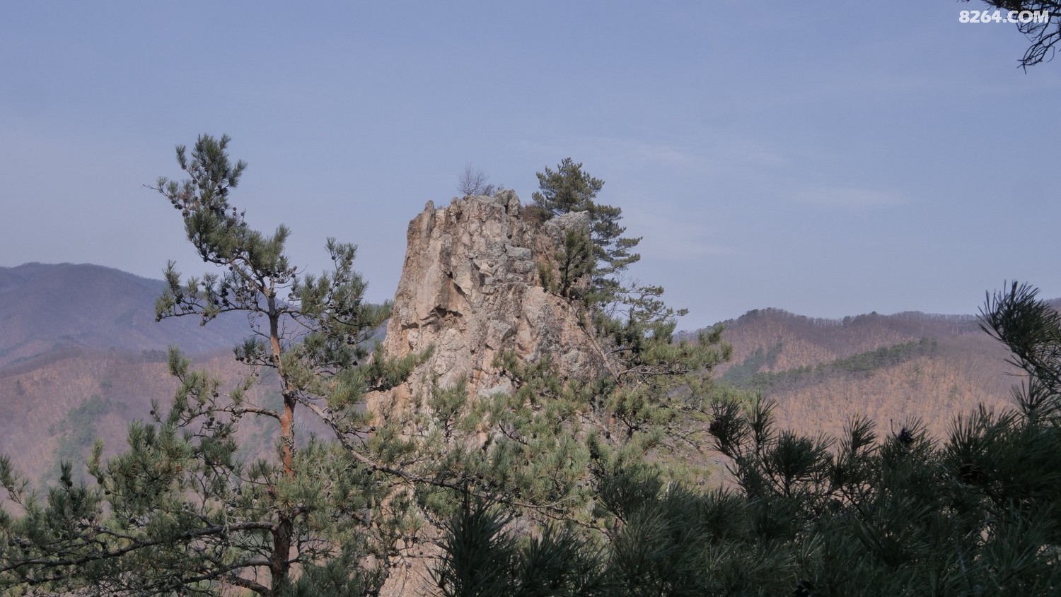 P1144857.JPG