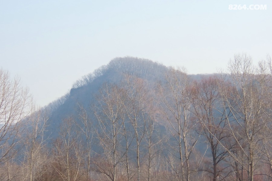 IMG_9322.jpg