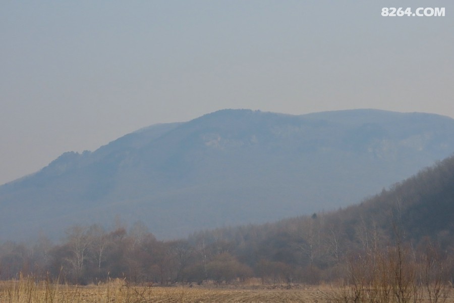 IMG_9327.jpg