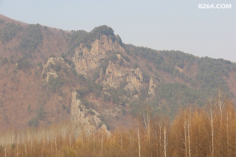 IMG_9571.jpg