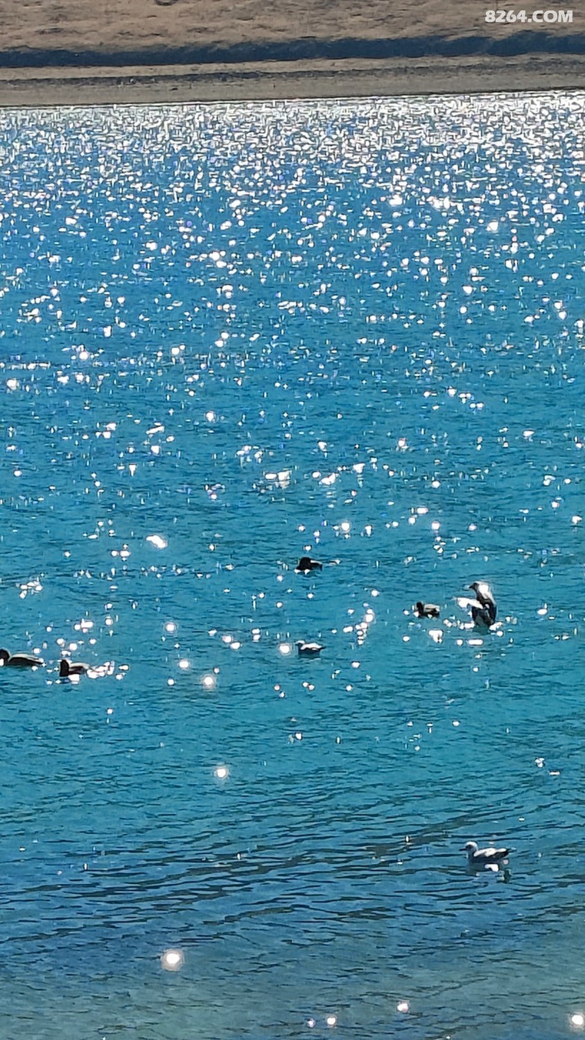 IMG20260120133202.jpg