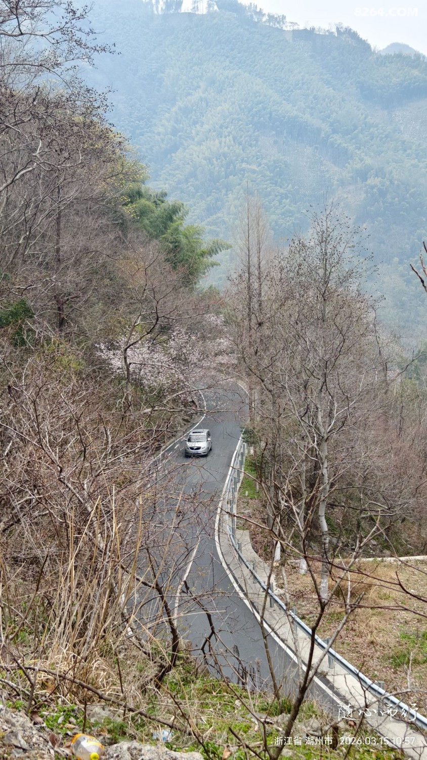IMG_20260315_105753.jpg