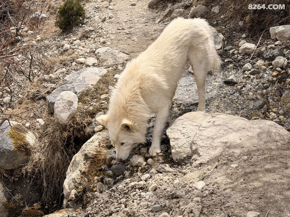 ��ˮ