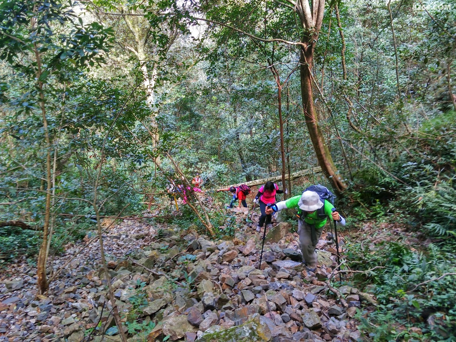 IMG_20171021_123916_HDR.jpg