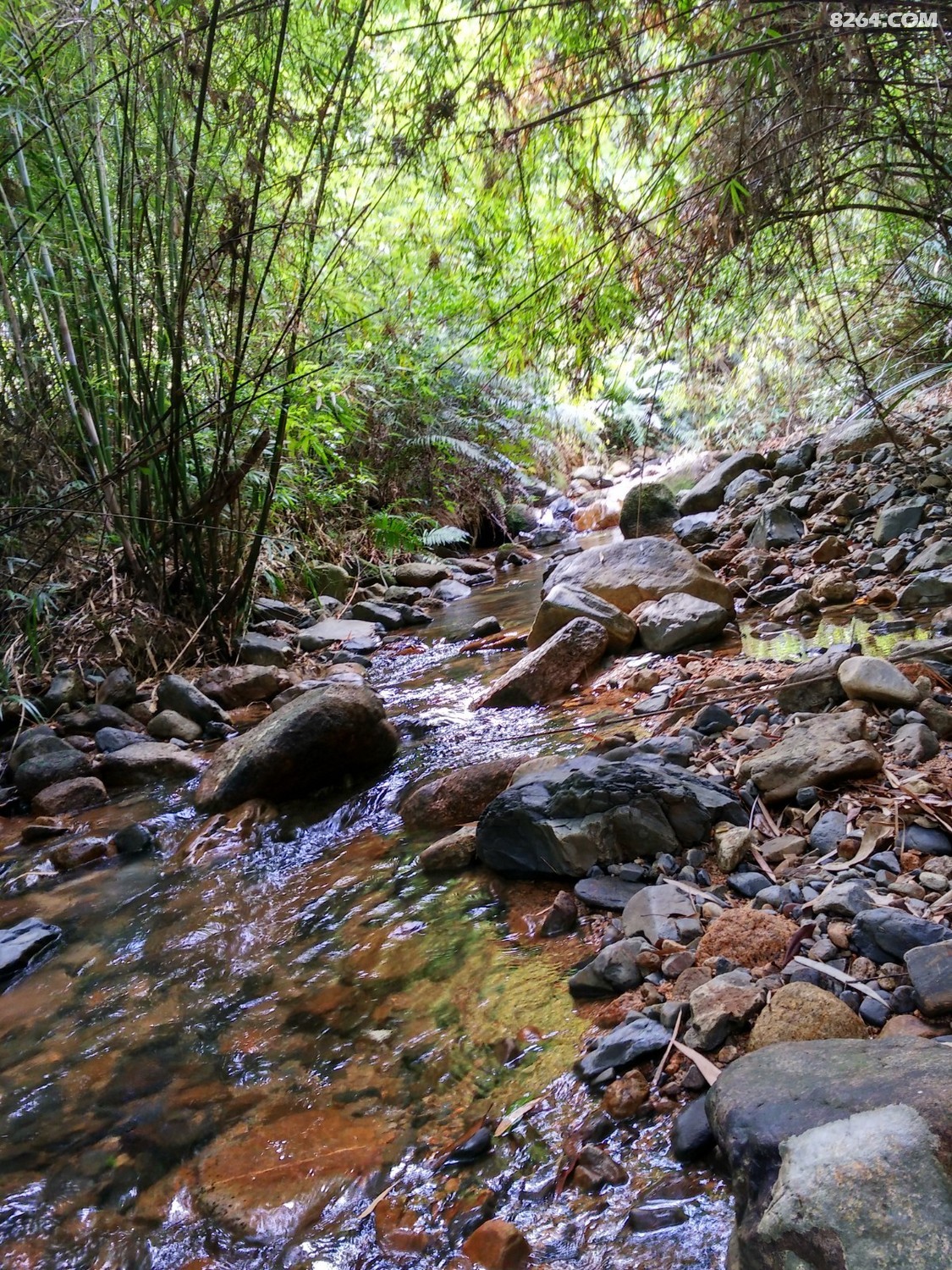 IMG_20171021_105646_HDR.jpg