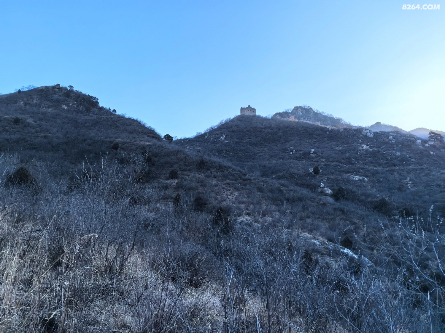 IMG_20260315_074536.jpg